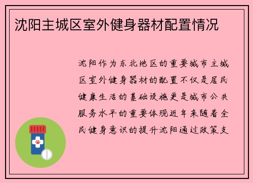 沈阳主城区室外健身器材配置情况